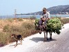 Greece Country Picture