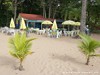 Guadeloupe Beaches Picture