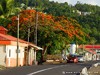 Guadeloupe Island Picture