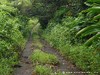 Guadeloupe Island Picture