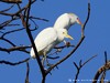 Guadeloupe Island Picture