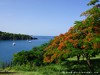 Guadeloupe Island Picture