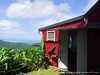 Guadeloupe Rainforest Picture