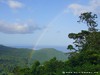 Guadeloupe Rainforest Picture