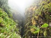 Guadeloupe Soufriere Picture