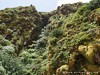 Guadeloupe Soufriere Picture