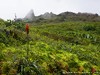 Guadeloupe Soufriere Picture