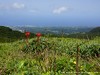 Guadeloupe Soufriere Picture