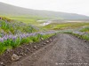 Iceland Aldeyjarfoss Picture