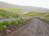 Iceland Aldeyjarfoss Picture