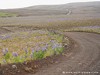 Iceland Aldeyjarfoss Picture