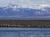 Iceland Country Picture