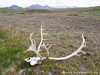 Iceland Country Picture