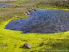 Iceland Country Picture