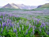 Iceland Country Picture