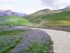 Iceland Country Picture