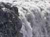 Iceland Dettifoss Picture