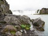 Iceland Godafoss Picture