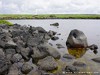 Iceland Knarraros Picture