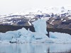 Iceland Lagoon Picture