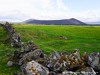 Iceland Myvatn Picture