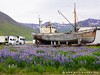 Iceland Siglufjoerdur Picture