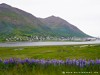 Iceland Siglufjoerdur Picture