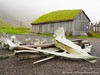 Iceland Stokksnes Picture