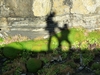 Ireland County Clare Picture