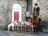 Ireland Midlands Picture