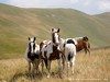 Italy Abruzzi Picture