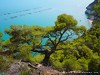 Italy Gargano Picture