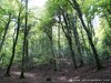 Italy Gargano Picture