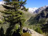 Italy Mazia Picture