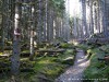 Italy Meranerhoehenweg Picture