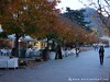 Italy Merano Picture