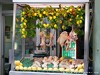 Italy Naples Picture