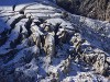 Italy Monte Rosa Picture