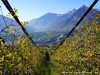 Italy Schenna Picture