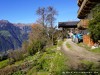Italy Schenna Picture