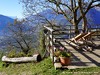 Italy Schenna Picture