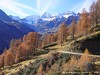 Italy Seeber Picture