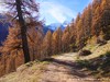 Italy Seeber Picture