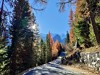 Italy Stilfserjoch Picture