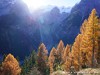 Italy Stilfserjoch Picture