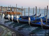 Italy Venice Carnival Picture