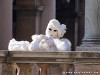 Italy Venice Carnival Picture