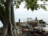 Malawi Lake Picture