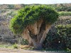 Malta Gozo Picture