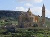 Malta Pinu Picture